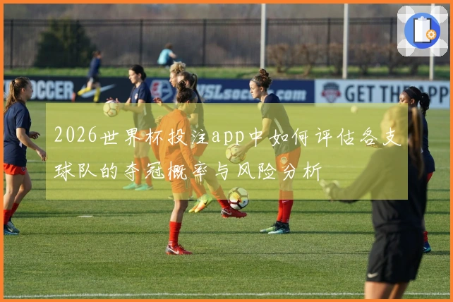 2026世界杯投注app中如何评估各支球队的夺冠概率与风险分析