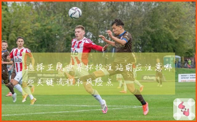 选择正规世界杯投注站前应注意哪些关键流程和风险点