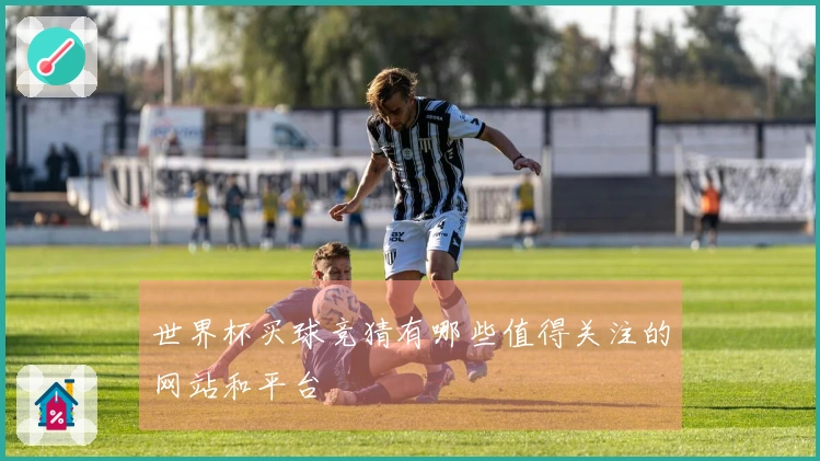 世界杯买球竞猜有哪些值得关注的网站和平台