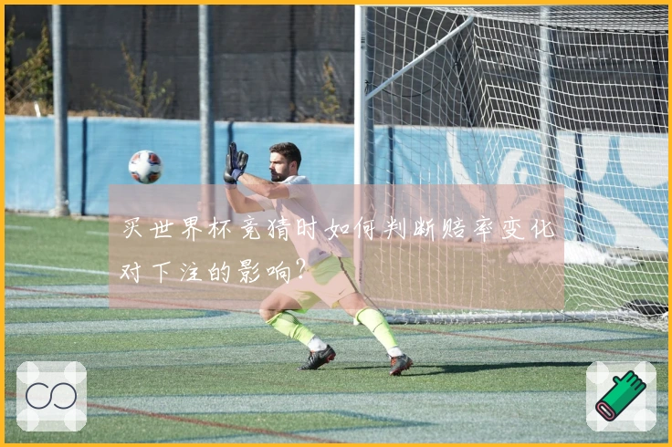 买世界杯竞猜时如何判断赔率变化对下注的影响？