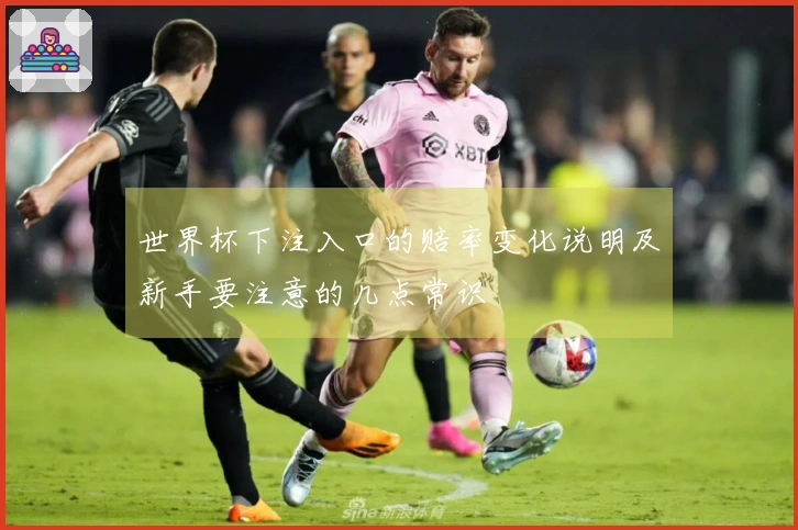 世界杯下注入口的赔率变化说明及新手要注意的几点常识