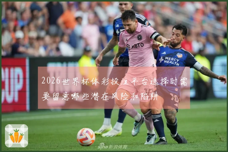 2026世界杯体彩投注平台选择时需要留意哪些潜在风险和陷阱