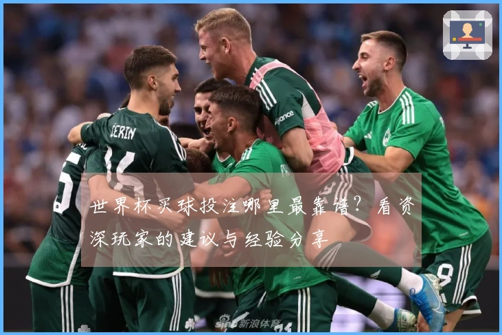 世界杯买球投注哪里最靠谱？看资深玩家的建议与经验分享
