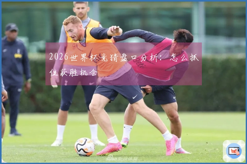 2026世界杯竞猜盘口分析:怎么抓住获胜机会