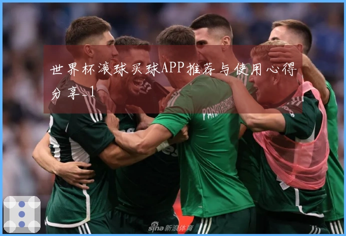 世界杯滚球买球APP推荐与使用心得分享_1