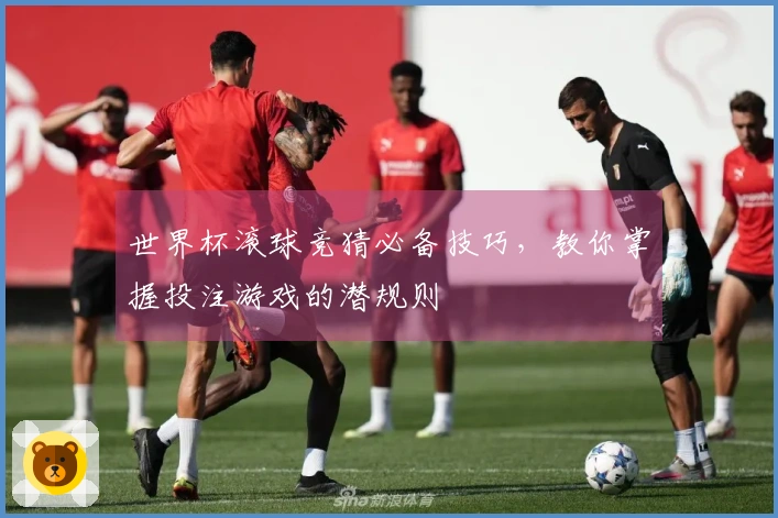 世界杯滚球竞猜必备技巧，教你掌握投注游戏的潜规则