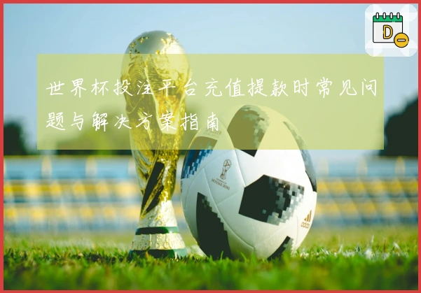 世界杯投注平台充值提款时常见问题与解决方案指南