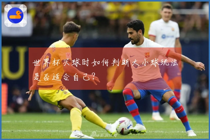 世界杯买球时如何判断大小球玩法是否适合自己？