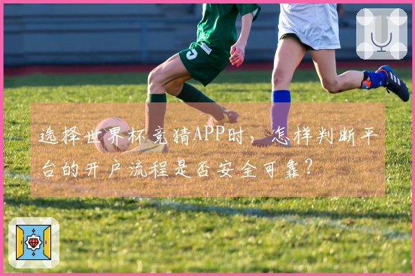 选择世界杯竞猜APP时，怎样判断平台的开户流程是否安全可靠？