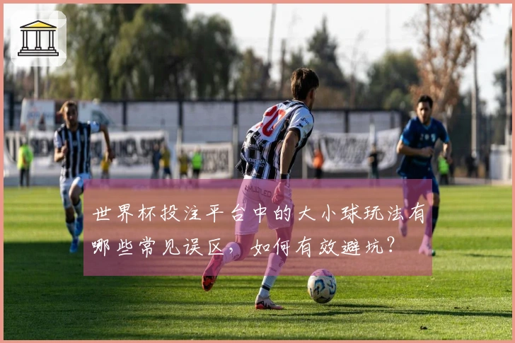 世界杯投注平台中的大小球玩法有哪些常见误区，如何有效避坑？