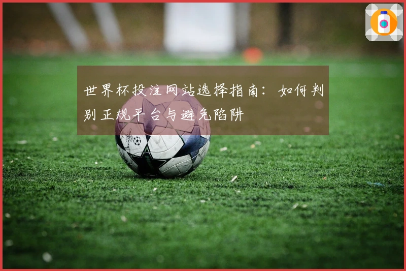 世界杯投注网站选择指南：如何判别正规平台与避免陷阱