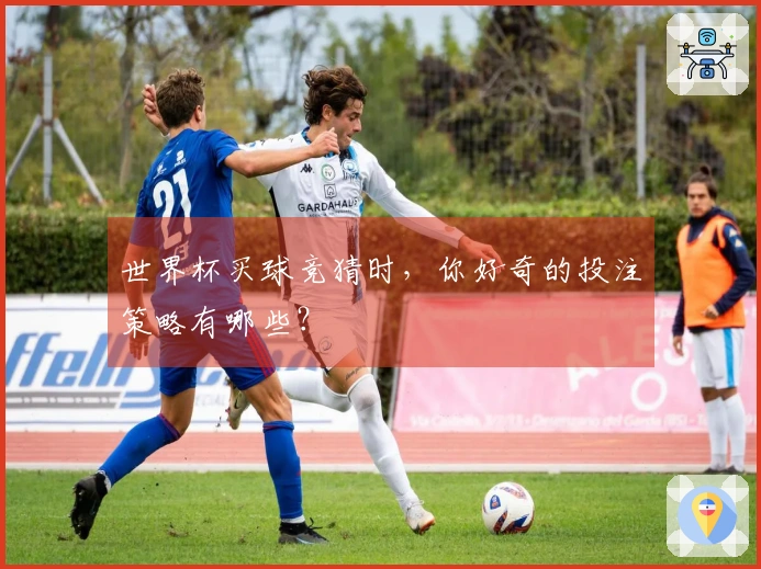 世界杯买球竞猜时，你好奇的投注策略有哪些？