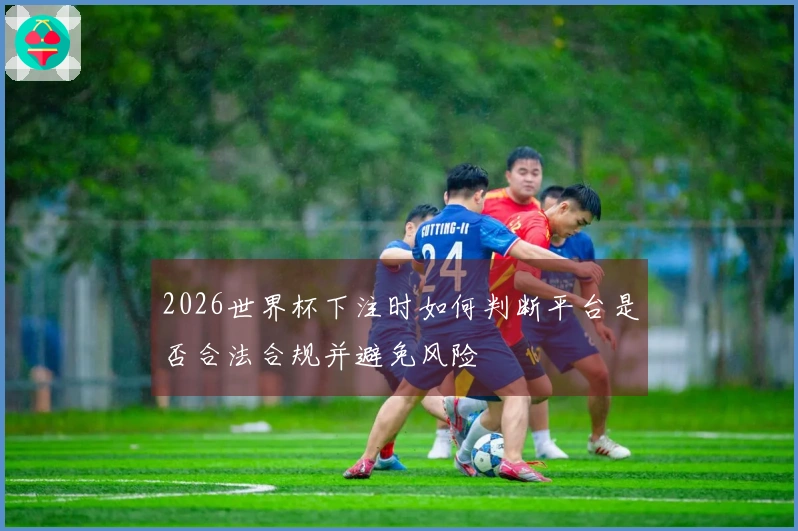 2026世界杯下注时如何判断平台是否合法合规并避免风险