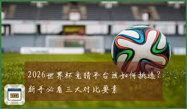 2026世界杯竞猜平台该如何挑选？新手必看三大对比要素