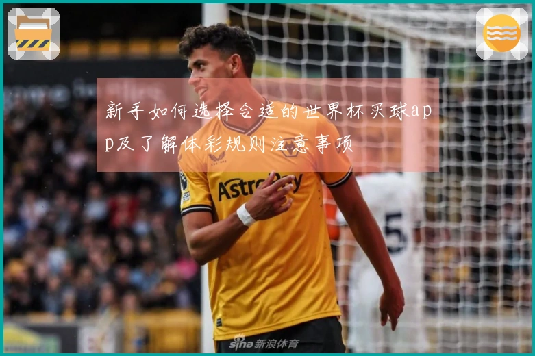 新手如何选择合适的世界杯买球app及了解体彩规则注意事项