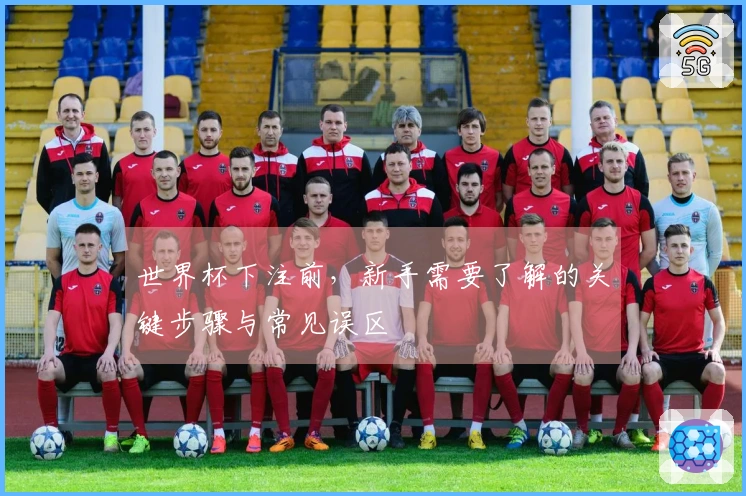 世界杯下注前，新手需要了解的关键步骤与常见误区