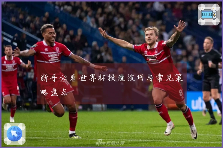 新手必看世界杯投注技巧与常见策略盘点