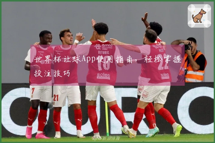 世界杯让球App使用指南，轻松掌握投注技巧