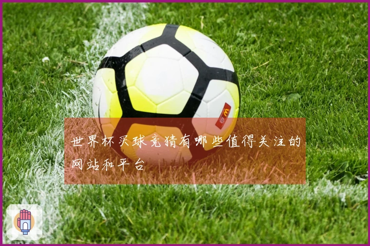世界杯买球竞猜有哪些值得关注的网站和平台