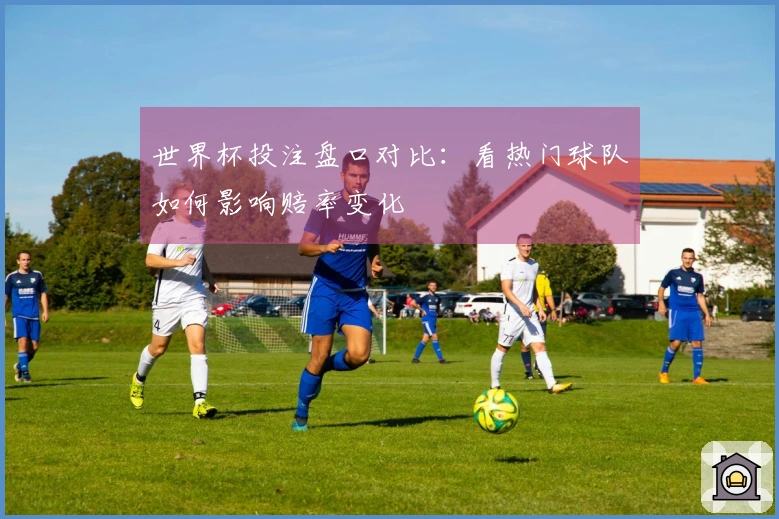 世界杯投注盘口对比：看热门球队如何影响赔率变化