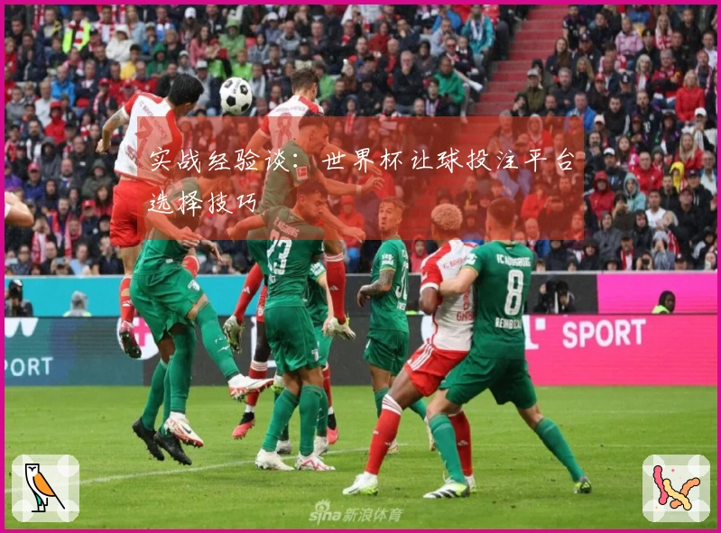 实战经验谈：世界杯让球投注平台选择技巧
