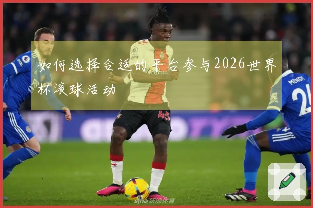 如何选择合适的平台参与2026世界杯滚球活动