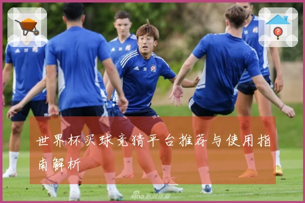 世界杯买球竞猜平台推荐与使用指南解析
