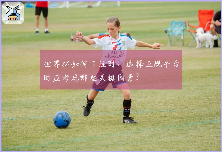世界杯如何下注时，选择正规平台时应考虑哪些关键因素？