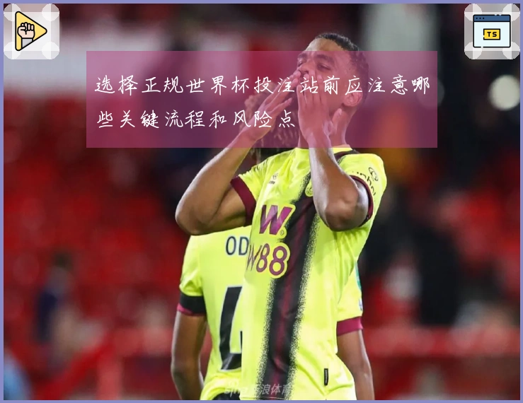 选择正规世界杯投注站前应注意哪些关键流程和风险点