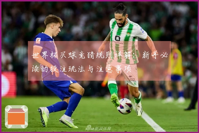 世界杯买球竞猜规则详解：新手必读的投注玩法与注意事项