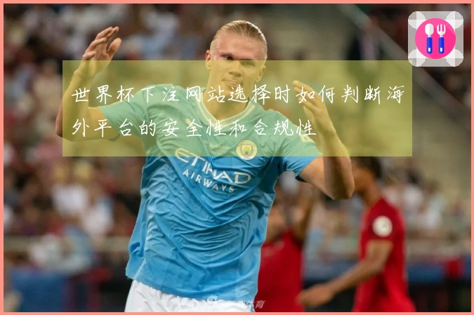 世界杯下注网站选择时如何判断海外平台的安全性和合规性