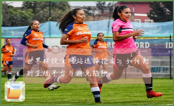 世界杯投注网站选择指南：如何判别正规平台与避免陷阱