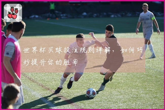 世界杯买球投注规则详解，如何巧妙提升你的胜率