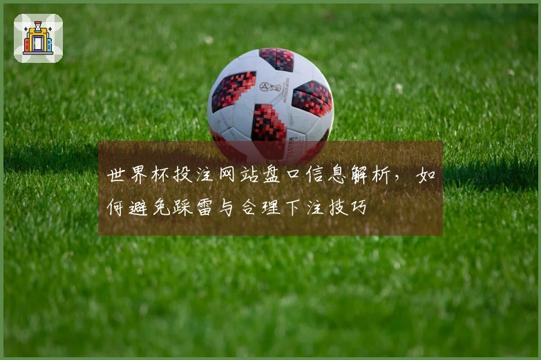 世界杯投注网站盘口信息解析,如何避免踩雷与合理下注技巧