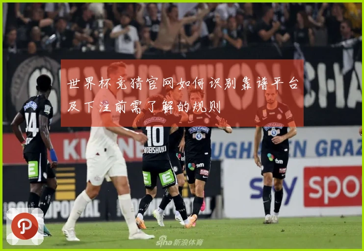 世界杯竞猜官网如何识别靠谱平台及下注前需了解的规则