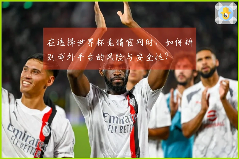 在选择世界杯竞猜官网时，如何辨别海外平台的风险与安全性？