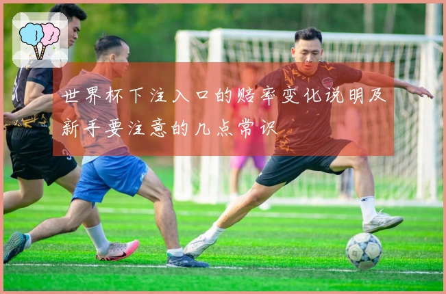 世界杯下注入口的赔率变化说明及新手要注意的几点常识