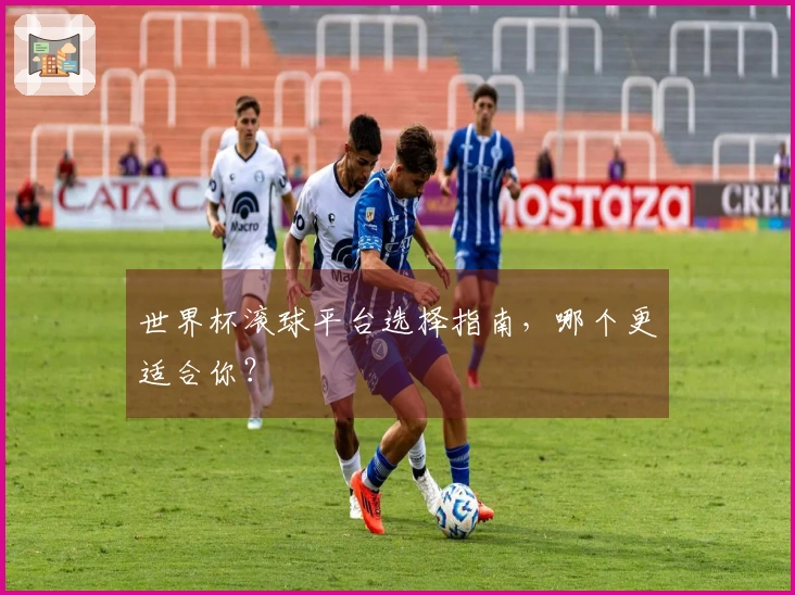 世界杯滚球平台选择指南，哪个更适合你？