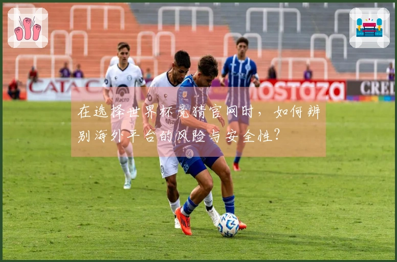 在选择世界杯竞猜官网时，如何辨别海外平台的风险与安全性？