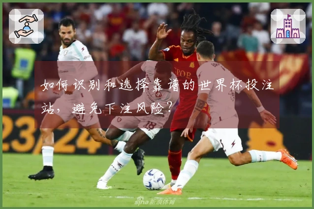 如何识别和选择靠谱的世界杯投注站，避免下注风险？
