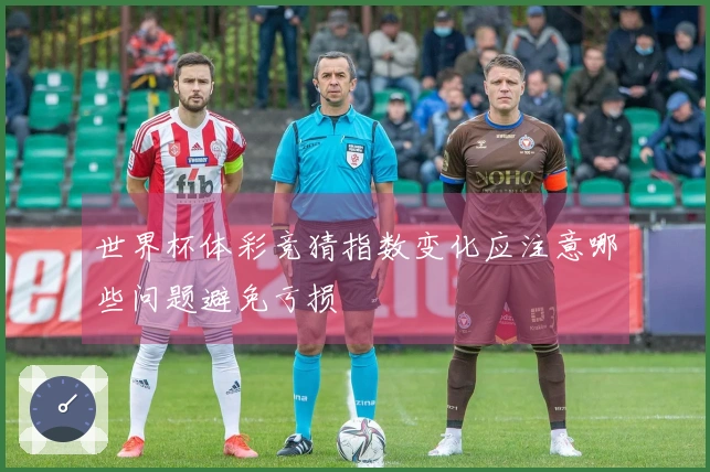 世界杯体彩竞猜指数变化应注意哪些问题避免亏损